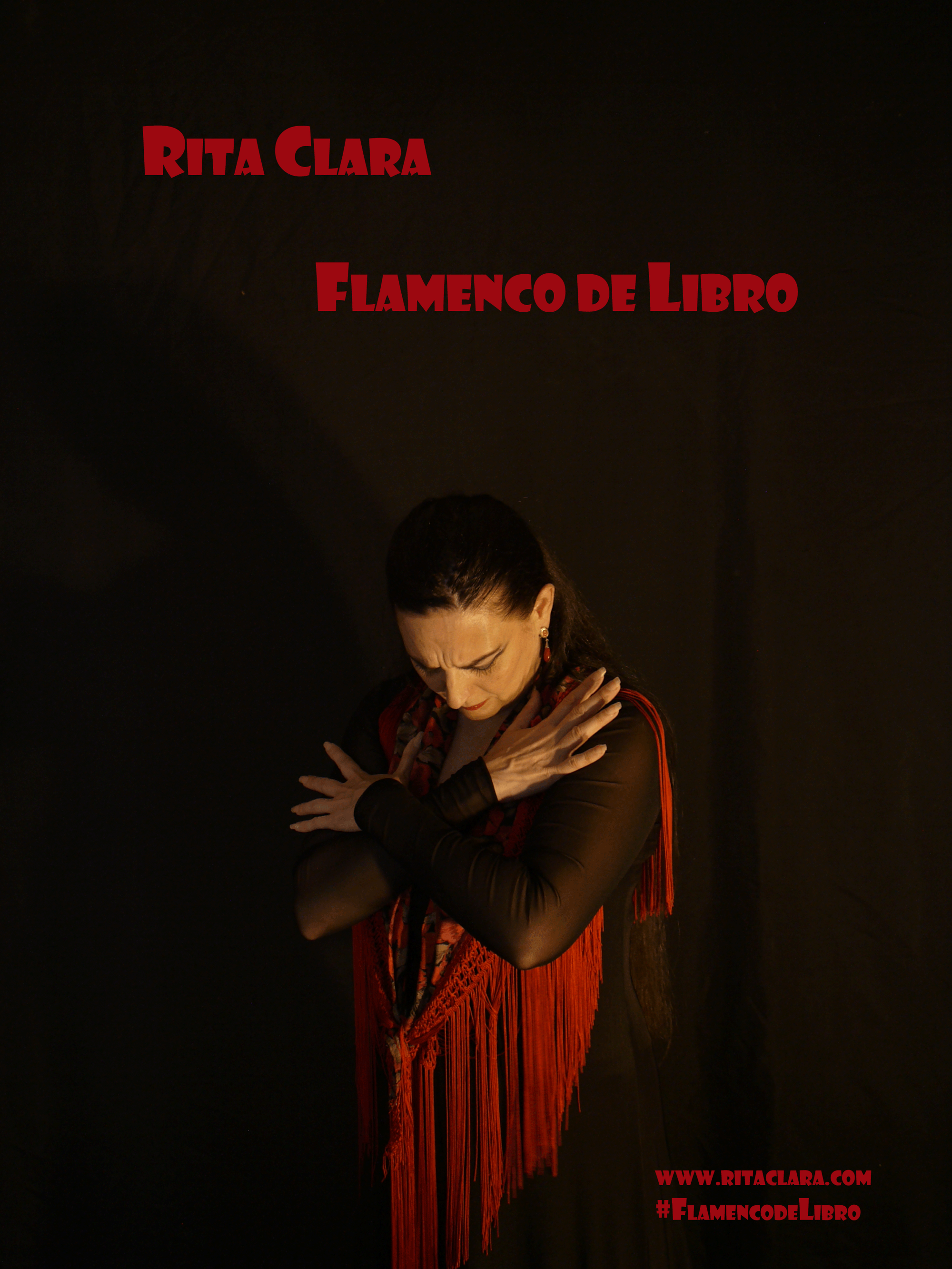 Flamenco de Libro
